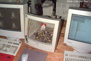 oldcomputeruse3.jpg